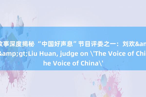 明星故事深度揭秘 “中国好声息”节目评委之一：刘欢&lt;br/&gt;Liu Huan, judge on 'The Voice of China'