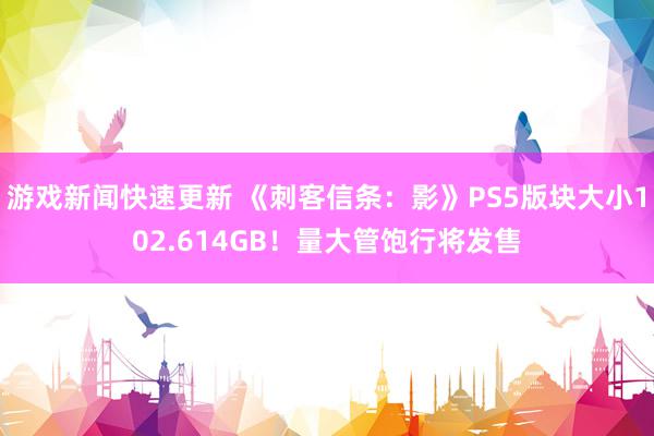 游戏新闻快速更新 《刺客信条：影》PS5版块大小102.614GB！量大管饱行将发售